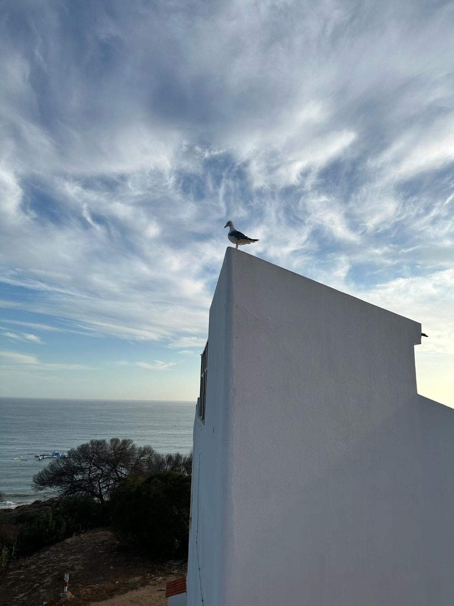 Apartmán Golden Cliff House Albufeira Exteriér fotografie