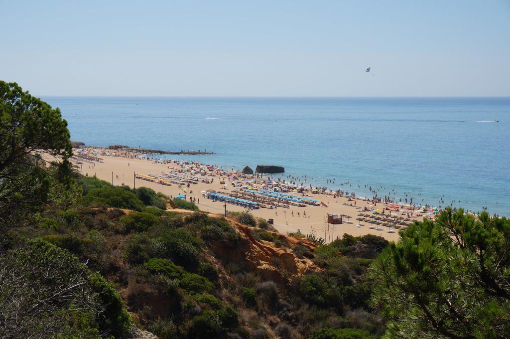 Apartmán Golden Cliff House Albufeira Exteriér fotografie